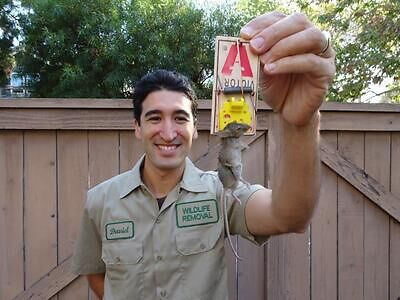 Jackson pest control
